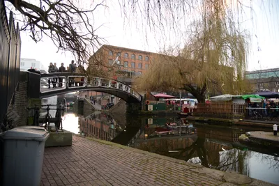 DSC_1424 (Large).JPG